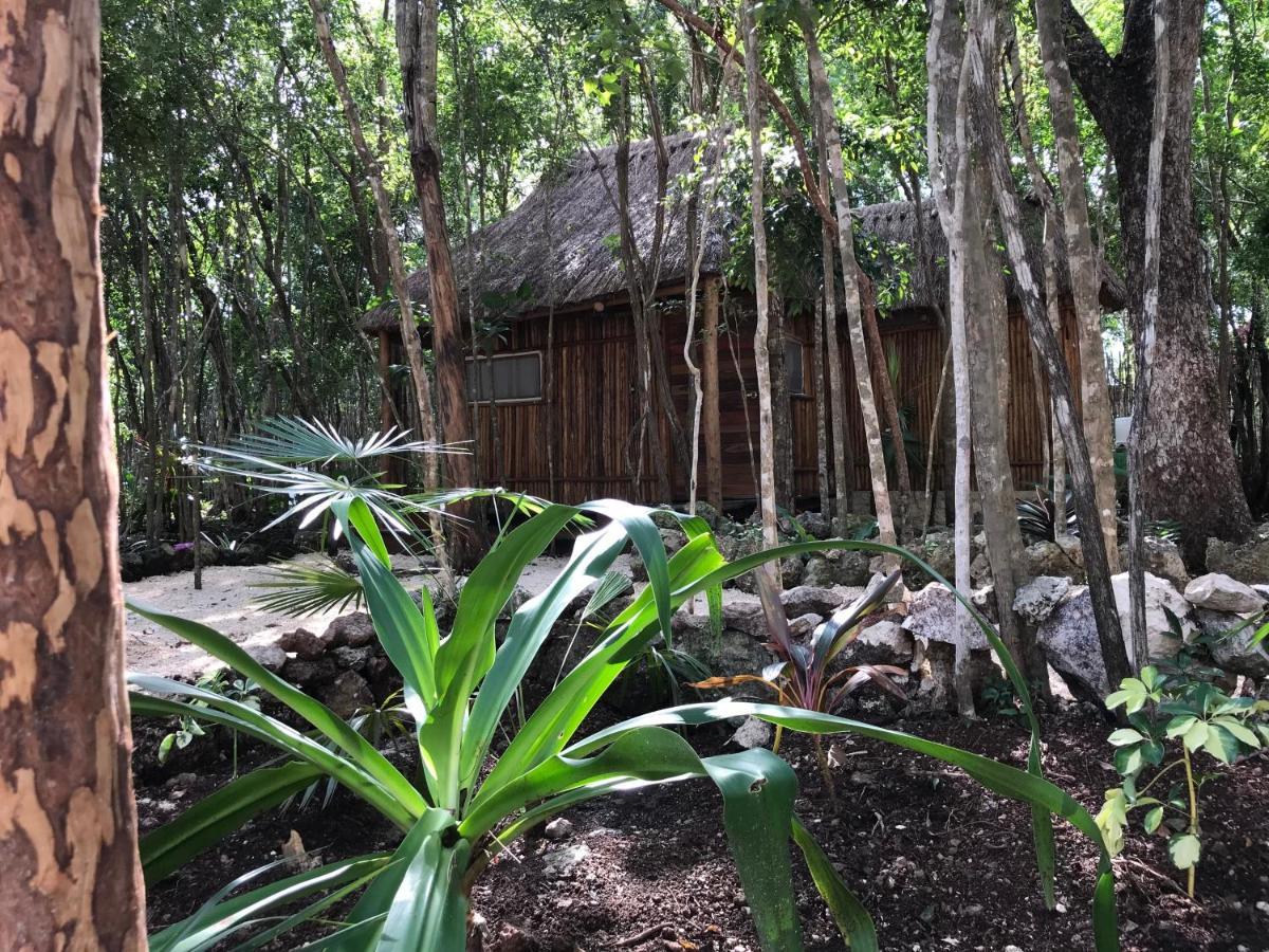 Bayou Tulum Dış mekan fotoğraf